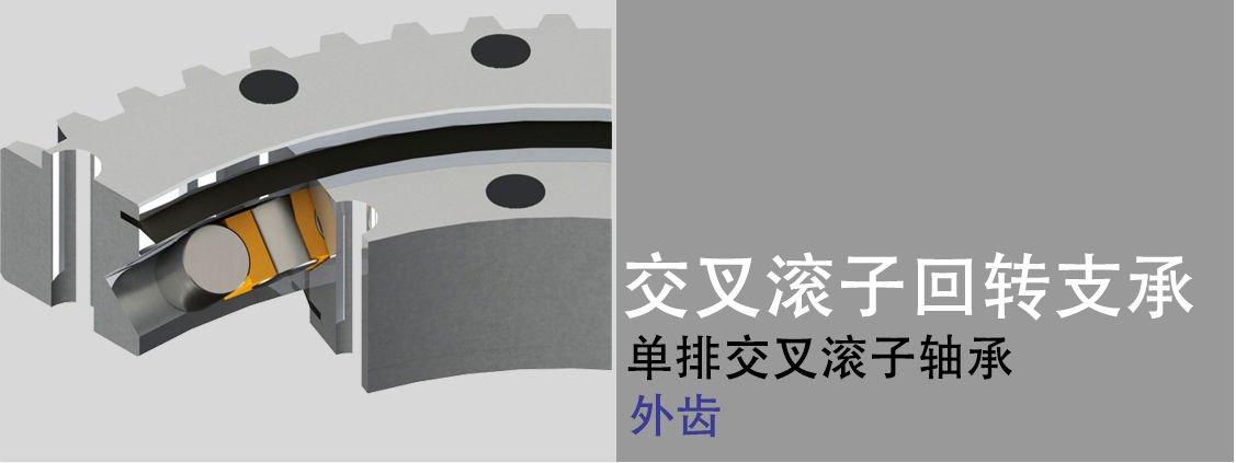 交叉滾子轉(zhuǎn)盤軸承 交叉滾子轉(zhuǎn)盤軸承